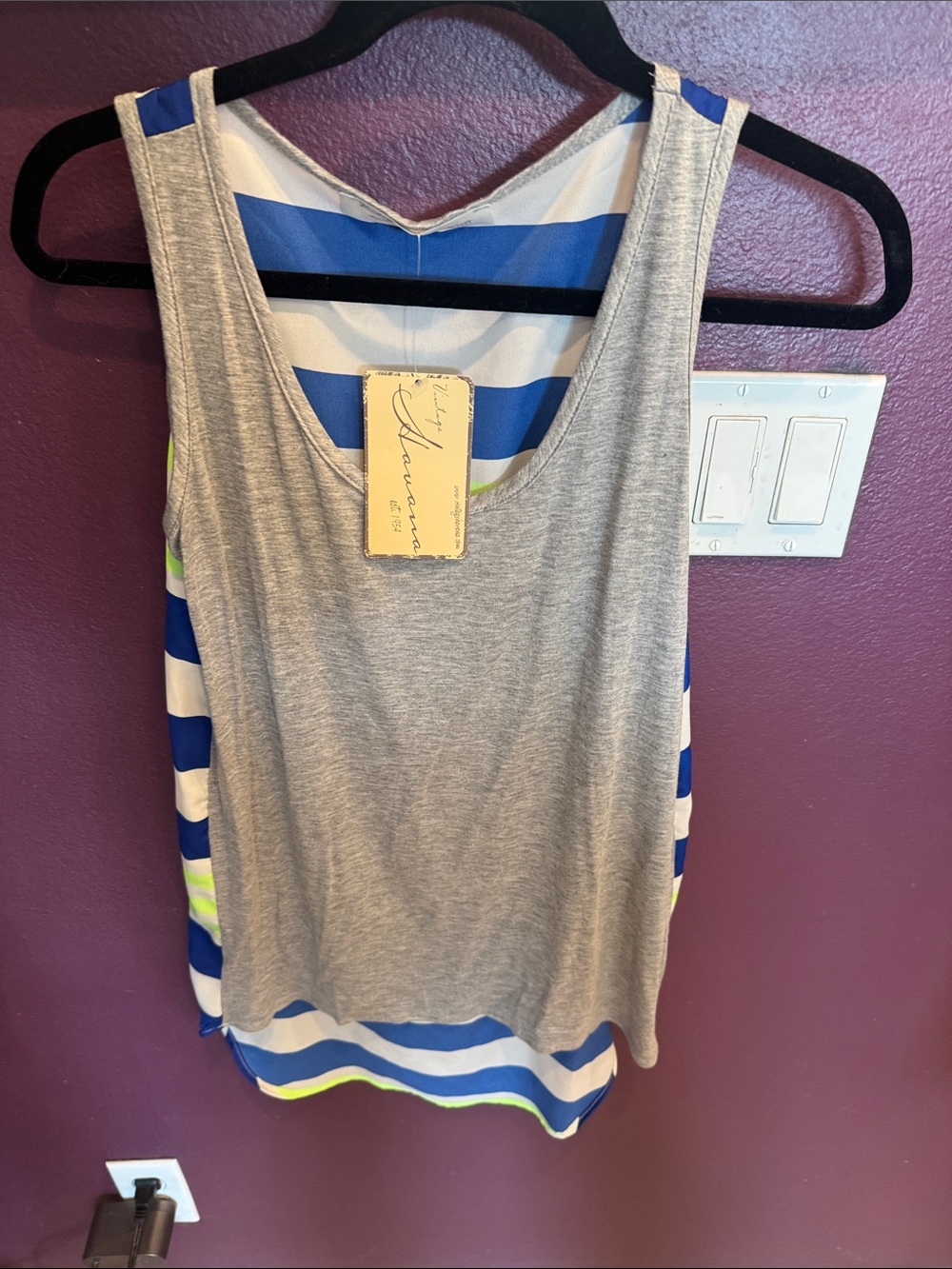 Vintage Havana Gray Tank with Blue, White & Neon Stripe Back